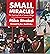 SMALL MIRACLES The Inspirin...