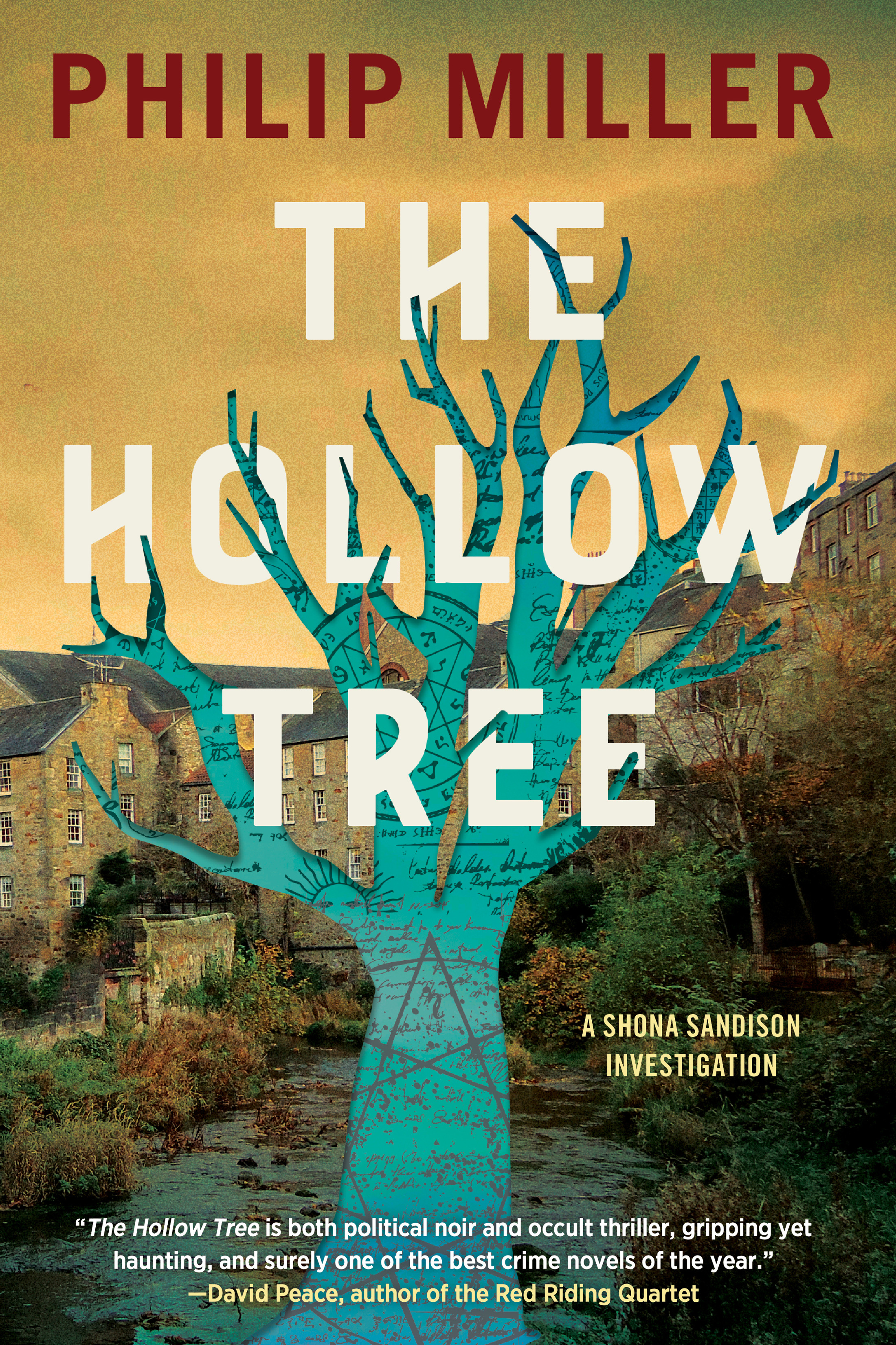 The Hollow Tree (Shona Sandison Mystery, #2)