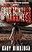 Four Minutes of Darkness: (The Texas Hill Country Murders, Book 1)