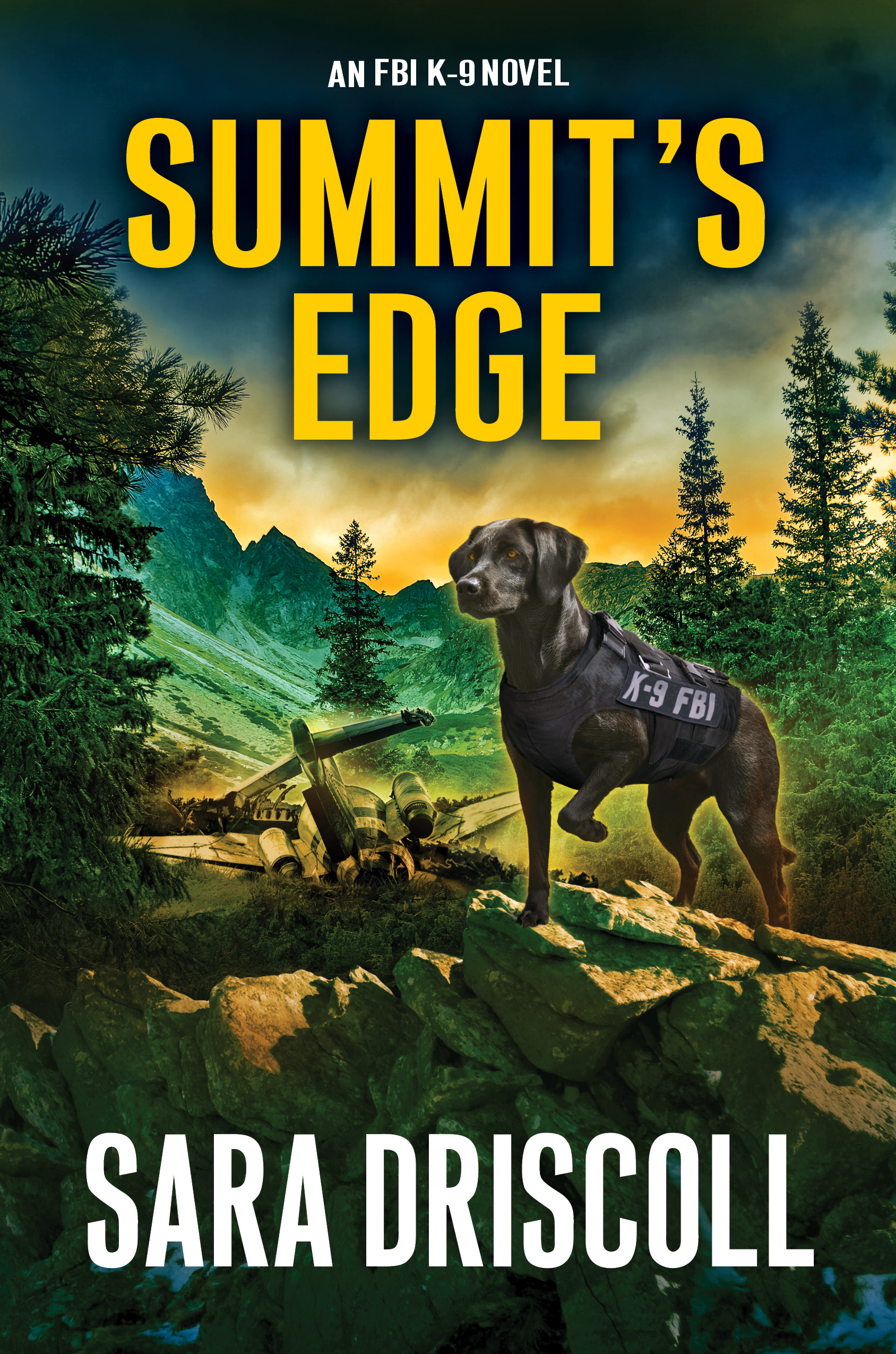 Summit’s Edge (FBI K-9 #9)