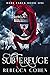 Subterfuge (Dark Earls #1)