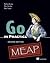 Go in Practice, Second Edition