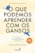 O que podemos aprender com os gansos