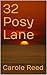 32 Posy Lane (Brishington-on-Sea series Book 1)