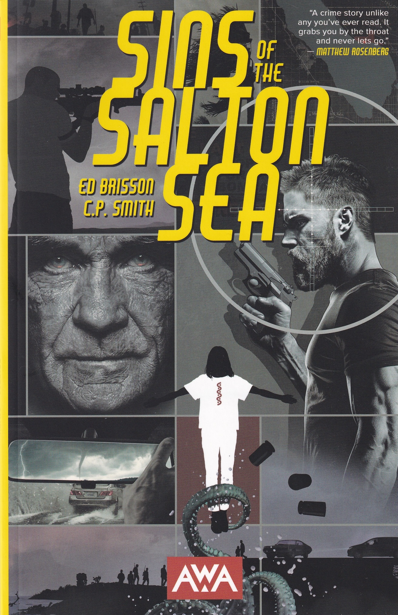 Sins of the Salton Sea (Paperback)