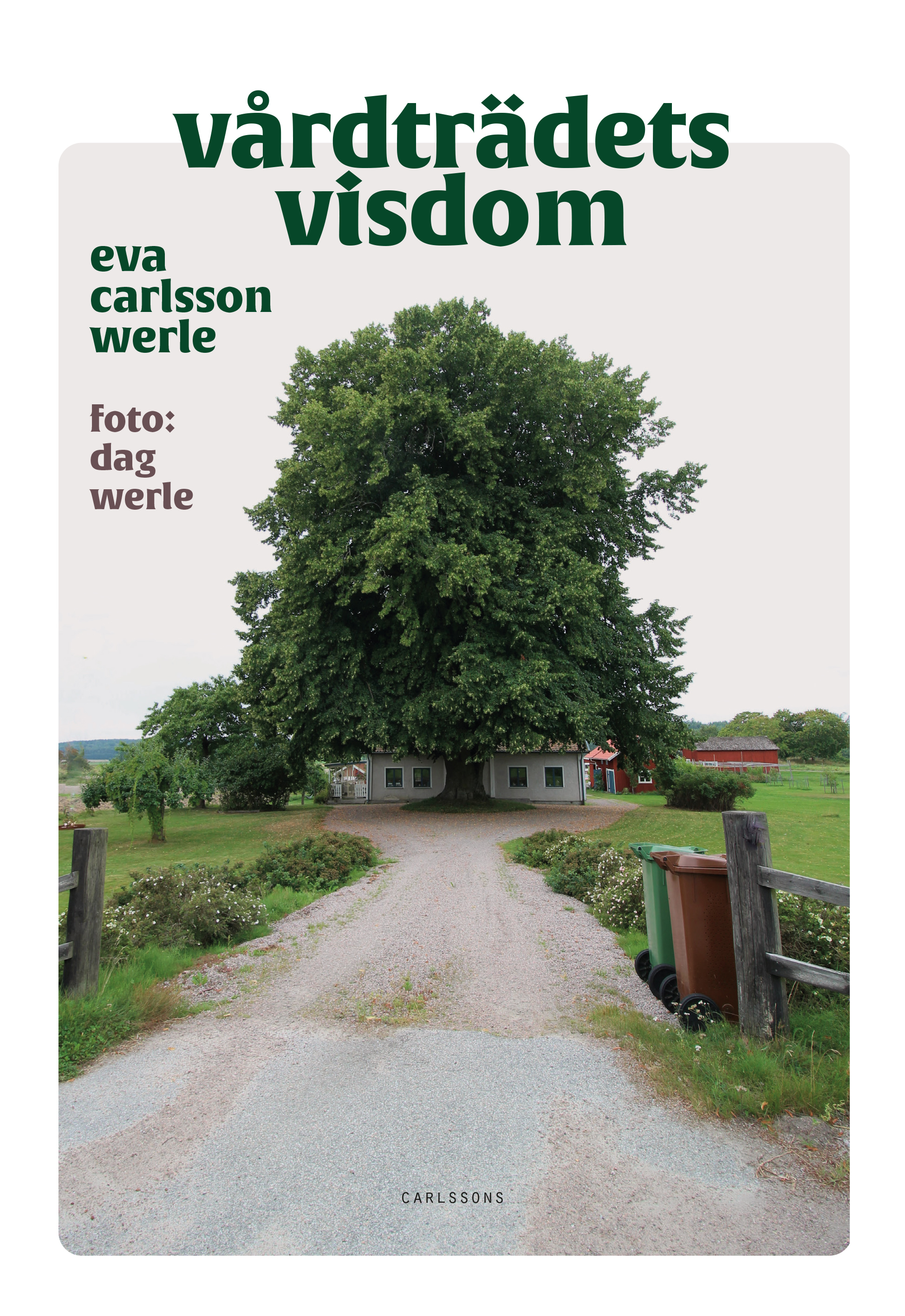 Vårdträdets visdom : svenska vårdträd i folktro och tradition (Hardcover)