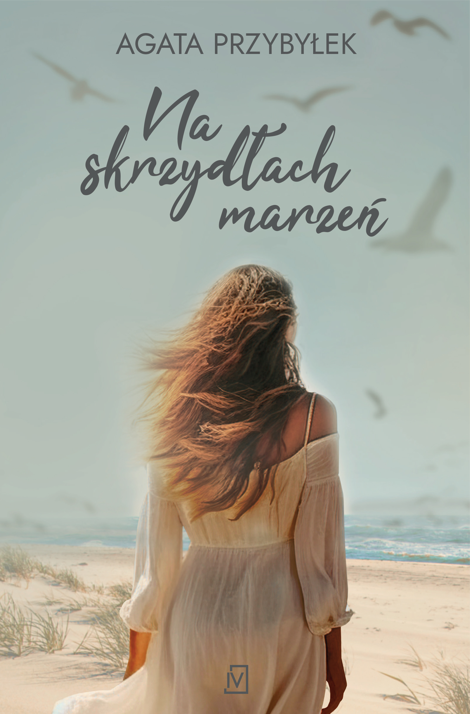 Na skrzydłach marzeń (Paperback)