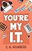 You're My IT (Nerds of Happy Valley Book 1)