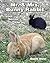 Mr. And Mrs. Bunny Rabbit: ...