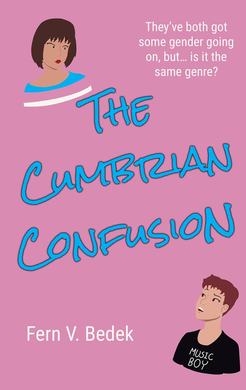 The Cumbrian Confusion (Kindle Edition)