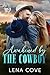 Awakened by the Cowboy: Iron H Ranch 2