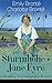 Sturmhöhe + Jane Eyre (2 Kl...