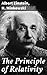 The Principle of Relativity: Exploring the Depths of Relativity Theory