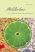 Hölderlins Fluchtlinie Griechenland (German Edition)