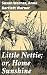Little Nettie; or, Home Sun...