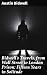 Bidwell's Travels, from Wall Street to London Prison by Austin Bidwell