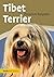 Tibet Terrier