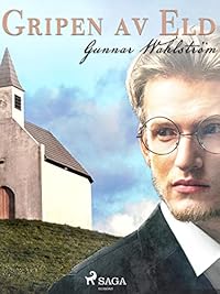 Omslag för Gripen av eld