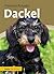 Dackel