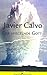 Der spiegelnde Gott by Javier Calvo