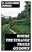 Where the Strange Trails Go Down: Sulu, Borneo, Celebes, Bali, Java, Sumatra, Straits Settlements, Malay States, Siam, Cambodia, Annam, Cochin-China