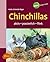 Chinchillas: Aktiv-possierl...