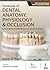 Textbook of Dental Anatomy, Physiology & Occlusion by Rashmi Gs Phulari