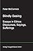 Blindly Seeing: Essays in E...