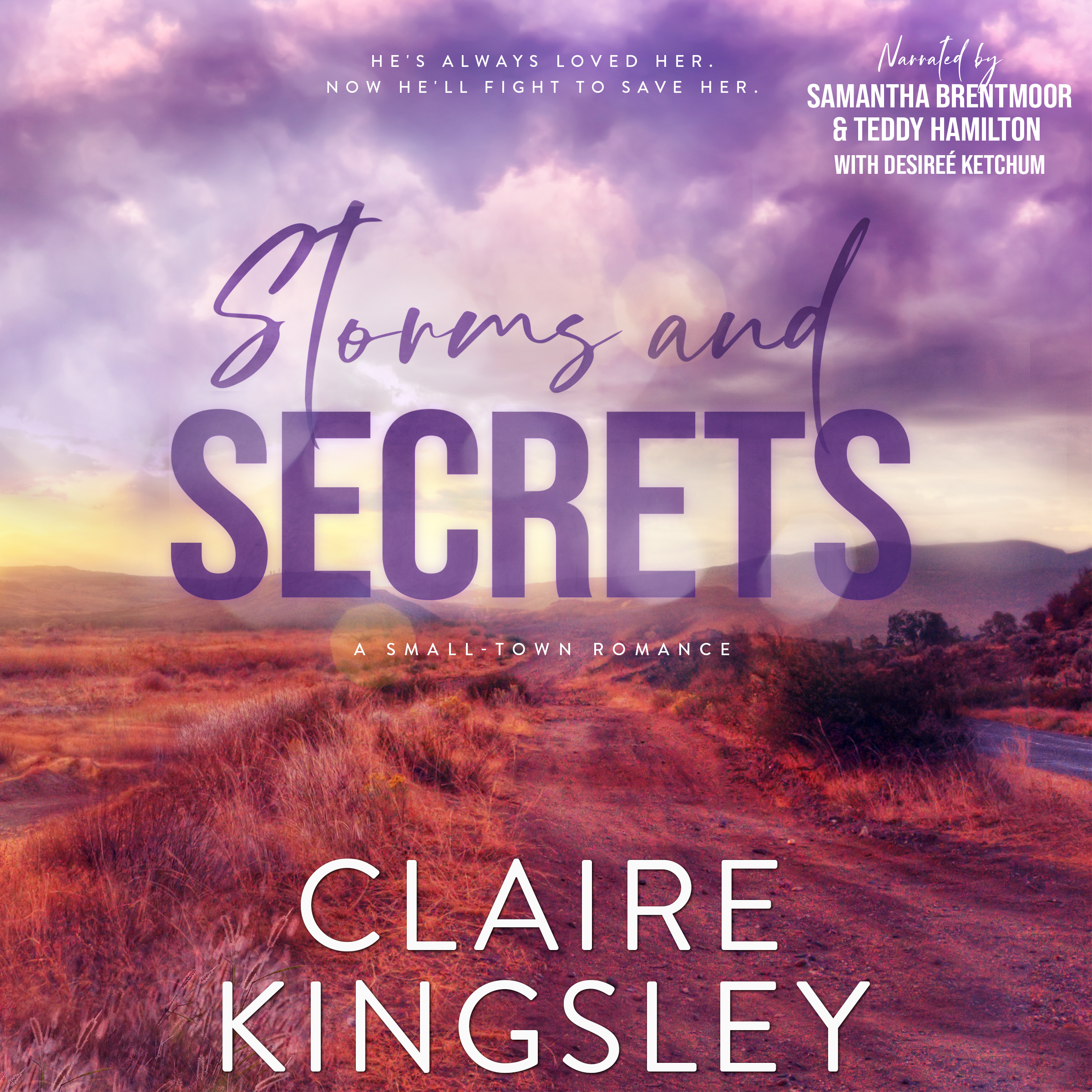 Storms and Secrets (Haven Brothers, #2)