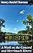 A Week on the Concord and Merrimack Rivers: A Transcendental Journey Through Nature, Philosophy, and Reflections