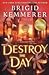 Destroy the Day (Defy the Night, #3)