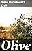 Olive: Enriched edition. A Novel