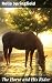 The Horse and His Rider: En...