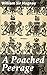 A Poached Peerage: Enriched edition. Power, Betrayal, and Intrigue in Victorian Aristocracy