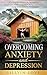 Overcoming Anxiety and Depression by Lillyin Love