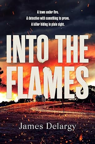 Into the Flames (Kindle Edition)