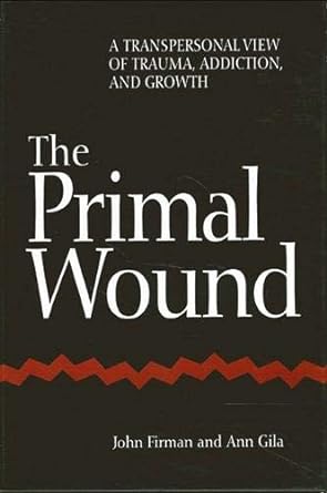 The Primal Wound: A Transpersonal View of Trauma, Addiction, and Growth (Hardcover)