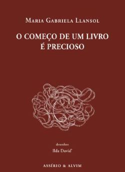 O Começo de Um Livro É Precioso (Paperback)