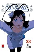 Bleach, vol. 33