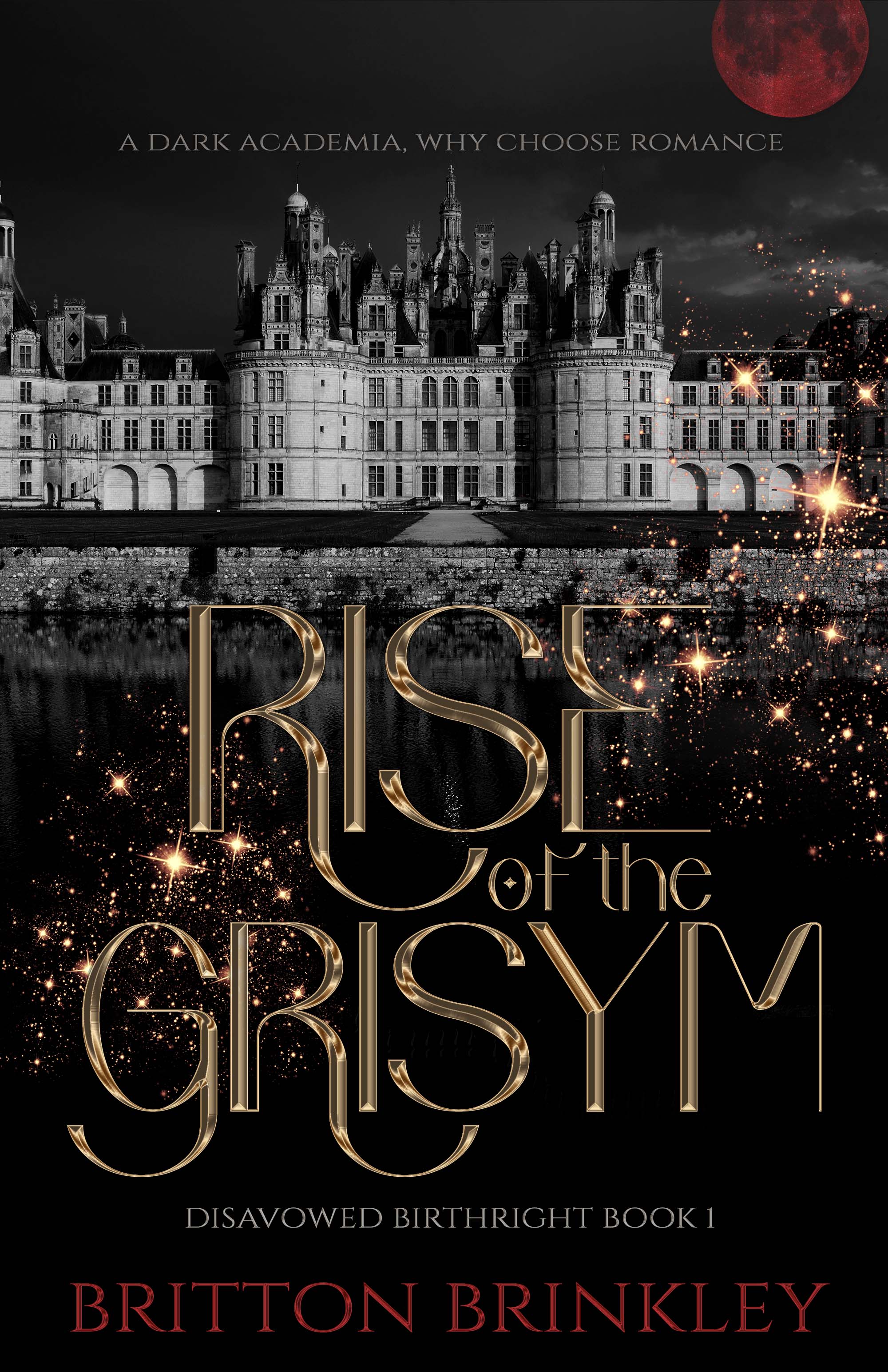 Rise of the Grisym (Paperback)