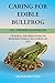 CARING FOR EDIBLE BULLFROG:...