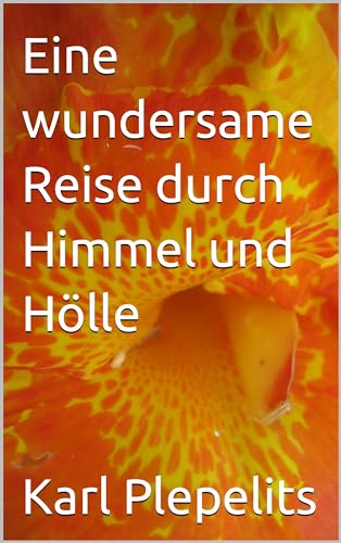 Eine wundersame Reise durch Himmel und Hölle (German Edition)