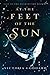At the Feet of the Sun (Lay...