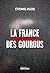 La France des gourous: Journal d'un infiltré (French Edition)