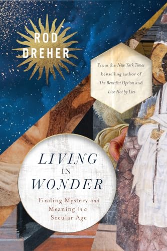 Living in Wonder: Finding Mystery and Meaning in a Secular Age (Hardcover)