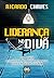 Liderança no Divã by Ricardo Chaves