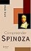 Compreender Spinoza (Série ...