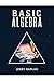 Basic Algebra