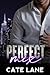 Perfect Mix (Vice Club Nigh...