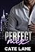 Perfect Mix by Cate Lane